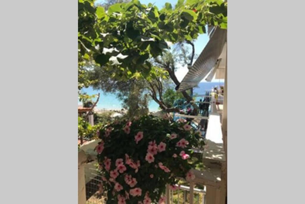 Stefani Apartment With A Sea View Terrace! Nea Moudania Zimmer foto